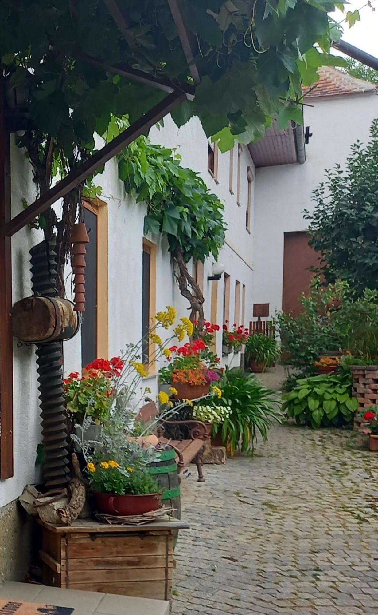 Hotel Winzerhof Fleischmann Kleinhoflein Exteriér fotografie