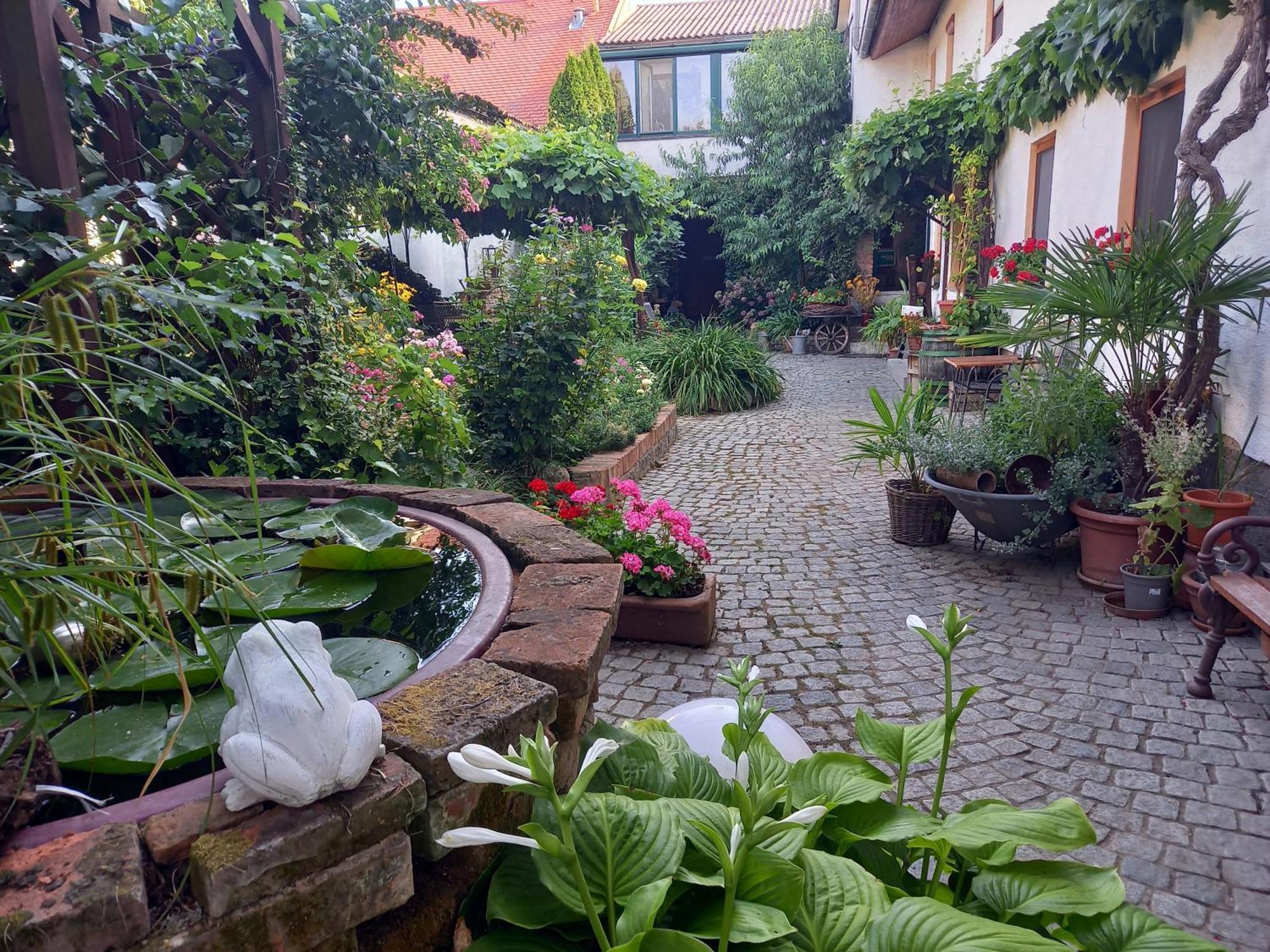 Hotel Winzerhof Fleischmann Kleinhoflein Exteriér fotografie